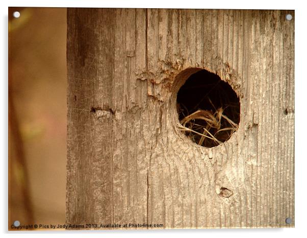 Birdhouse Acrylic by Pics by Jody Adams