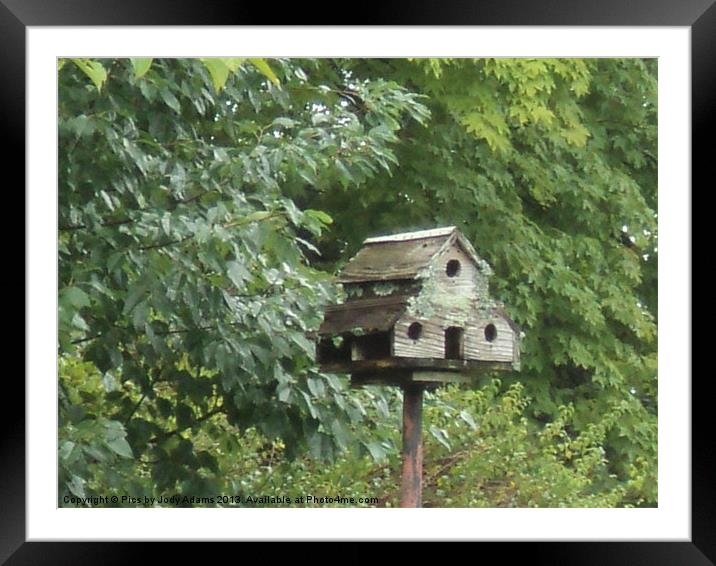 House for Three Framed Mounted Print by Pics by Jody Adams