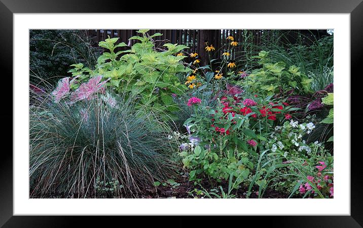 In the Garden Framed Mounted Print by Pics by Jody Adams