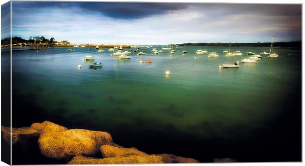 Harbour Canvas Print by David Yeaman