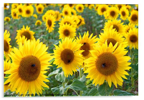Sunflowers Acrylic by Jules Camfield