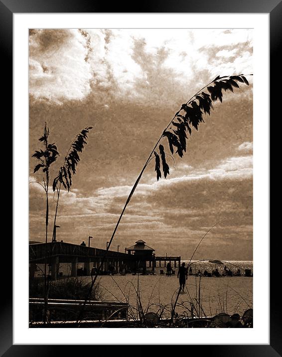 Fort Myers Beach Framed Mounted Print by Judy Hall-Folde