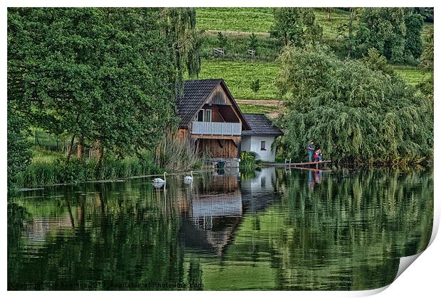 house at the pond Print by Jo Beerens