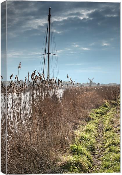 River Bank at Thurne Canvas Print by Stephen Mole