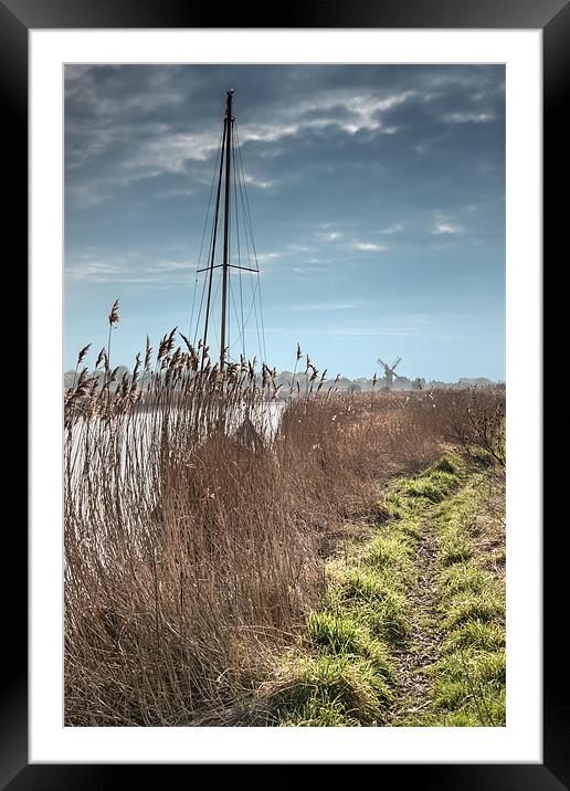 River Bank at Thurne Framed Mounted Print by Stephen Mole