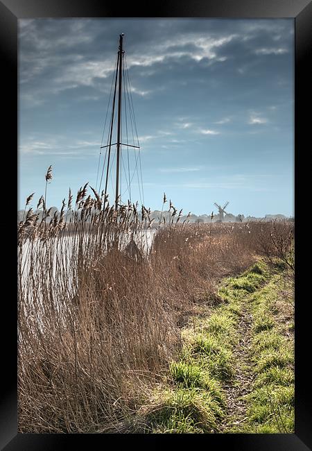 River Bank at Thurne Framed Print by Stephen Mole