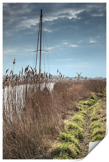 River Bank at Thurne Print by Stephen Mole