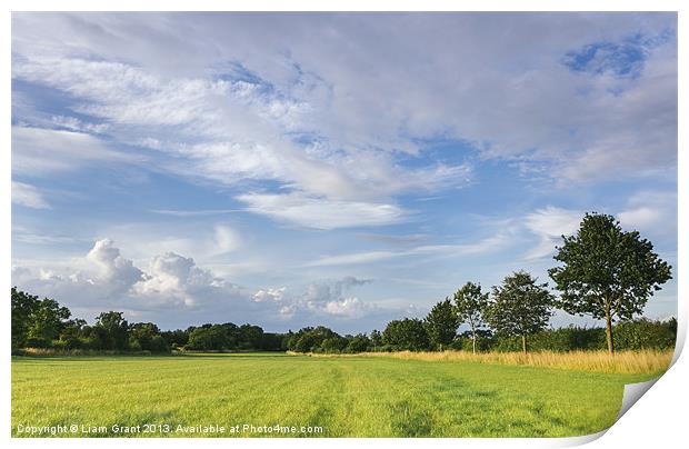 Evening sky over rural grassland. Norfolk, UK. Print by Liam Grant