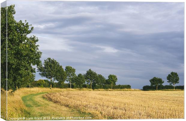 Rainclouds over treelined stubbled field. Canvas Print by Liam Grant
