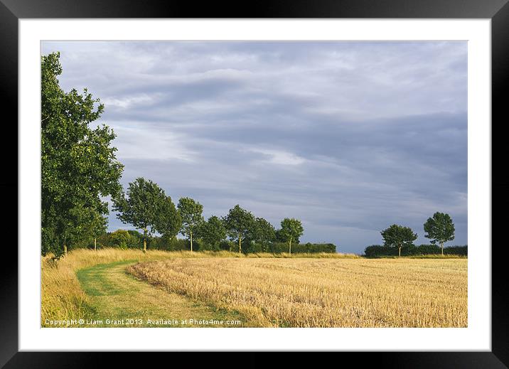 Rainclouds over treelined stubbled field. Framed Mounted Print by Liam Grant