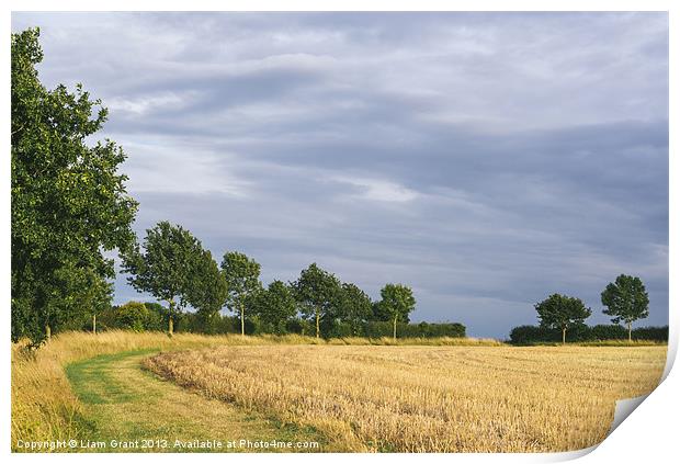 Rainclouds over treelined stubbled field. Print by Liam Grant