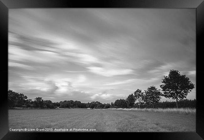 Dramatic windswept trees and sky. Framed Print by Liam Grant