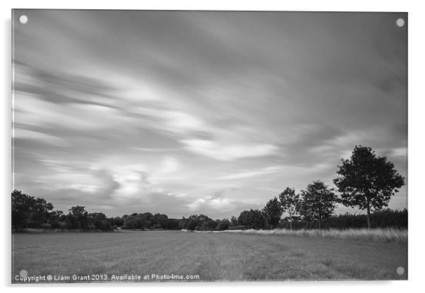 Dramatic windswept trees and sky. Acrylic by Liam Grant