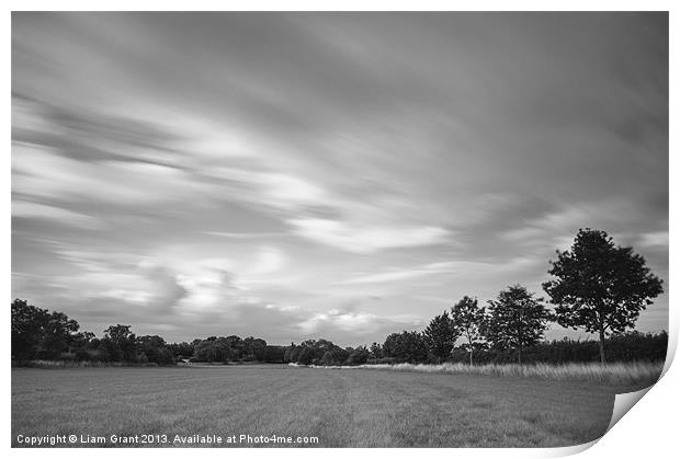 Dramatic windswept trees and sky. Print by Liam Grant