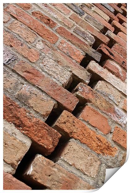 Another Brick in the Wall Print by Sharon Sims