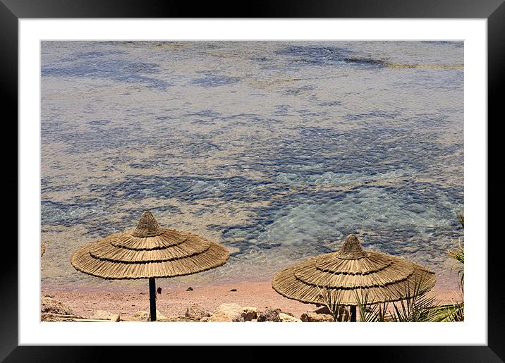 Crystal Clear Coral Pool Beach Framed Mounted Print by Wayne Usher