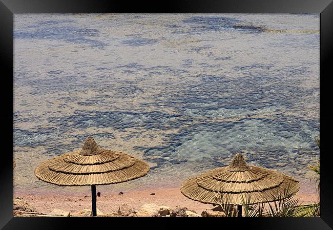 Crystal Clear Coral Pool Beach Framed Print by Wayne Usher