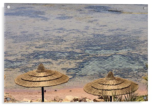 Crystal Clear Coral Pool Beach Acrylic by Wayne Usher