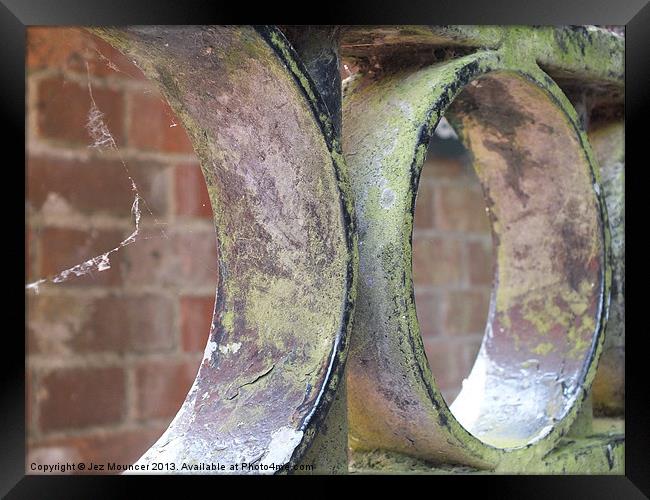 Weathered Rings Framed Print by Jez Mouncer