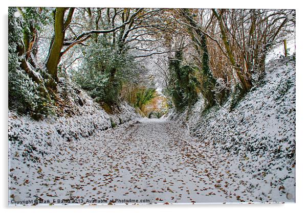 Looking up Frensham Lane. Acrylic by Mark  F Banks