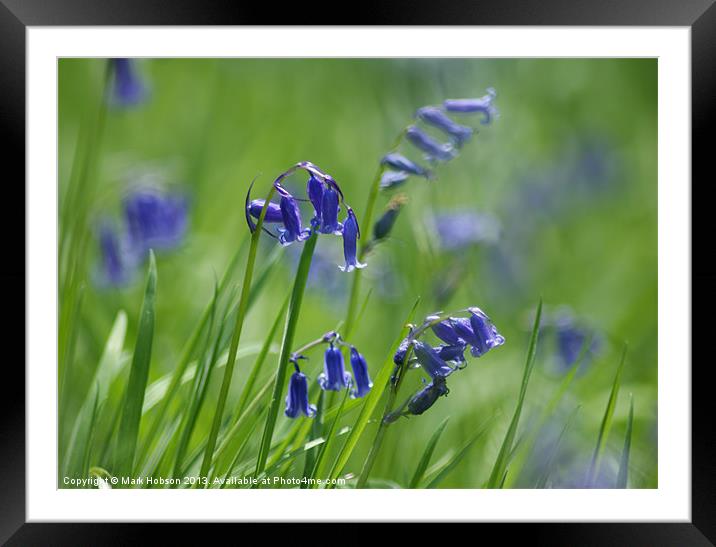 Soft Blue Framed Mounted Print by Mark Hobson