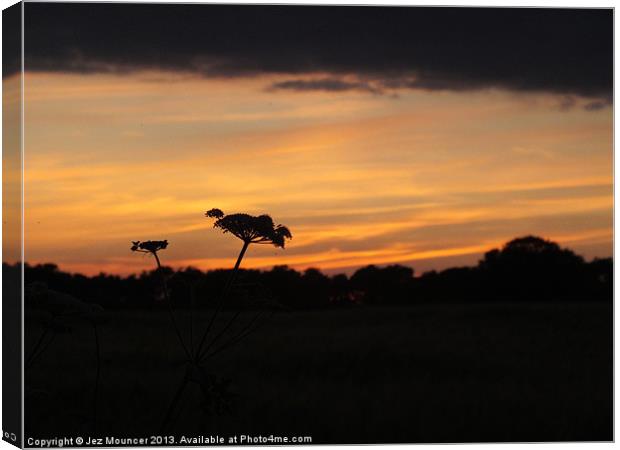 The Last Rays of Sun Canvas Print by Jez Mouncer