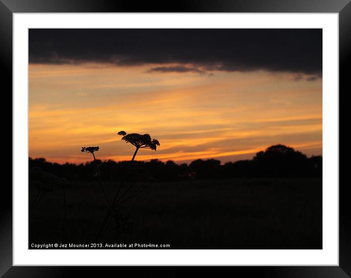 The Last Rays of Sun Framed Mounted Print by Jez Mouncer