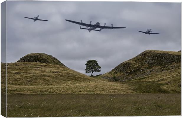 Sycamore Gap Canvas Print by Northeast Images