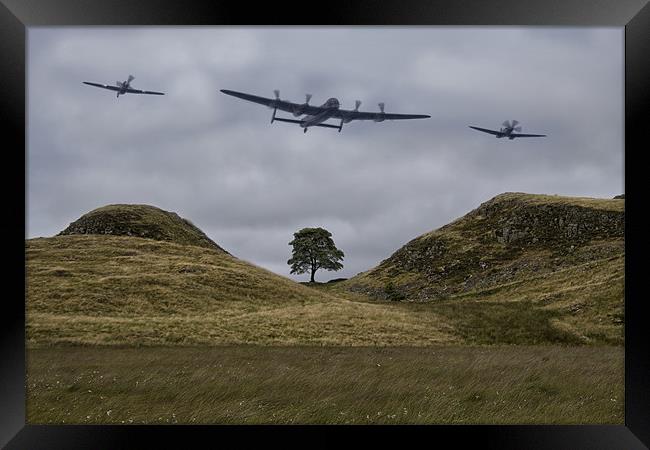 Sycamore Gap Framed Print by Northeast Images