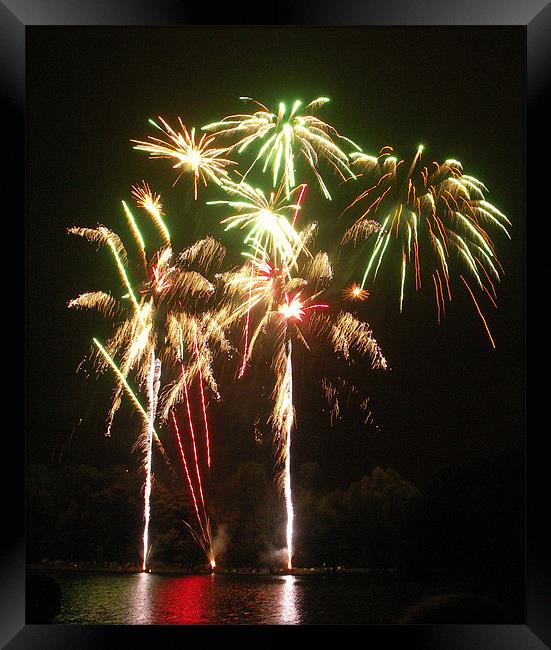 Palm Tree Fireworks Framed Print by Wayne Usher