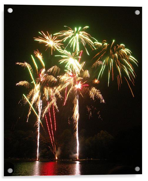 Palm Tree Fireworks Acrylic by Wayne Usher