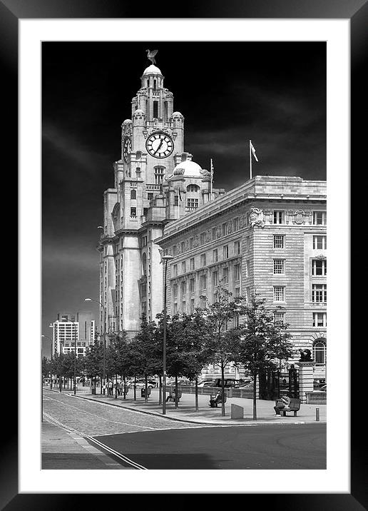 Royal Liver Building Framed Mounted Print by Rob Lester