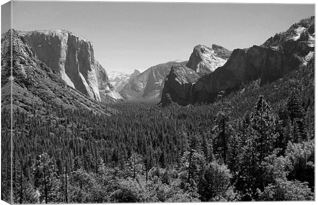 Yosemite Valley Canvas Print by Tom Hard
