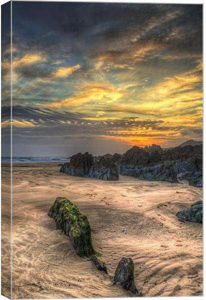 North Devon Beach Canvas Print by Dave Wilkinson North Devon Ph