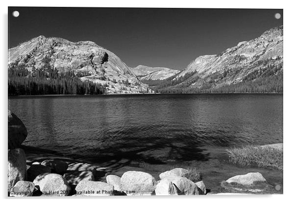 Tenaya Lake, Yosemite Acrylic by Tom Hard