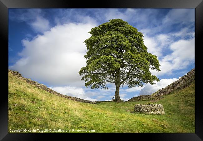 Sycamore Gap (the 