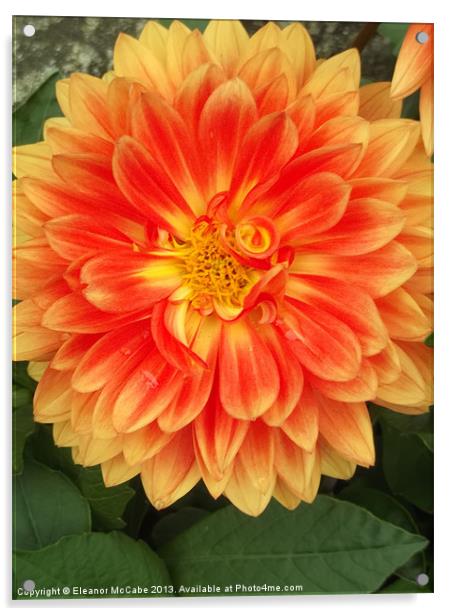 Tangerine Beauty! Acrylic by Eleanor McCabe