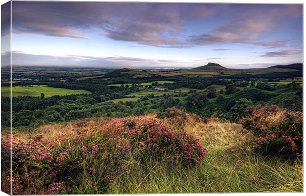 Roseberry Topping from Gribdale Canvas Print by Neil Young