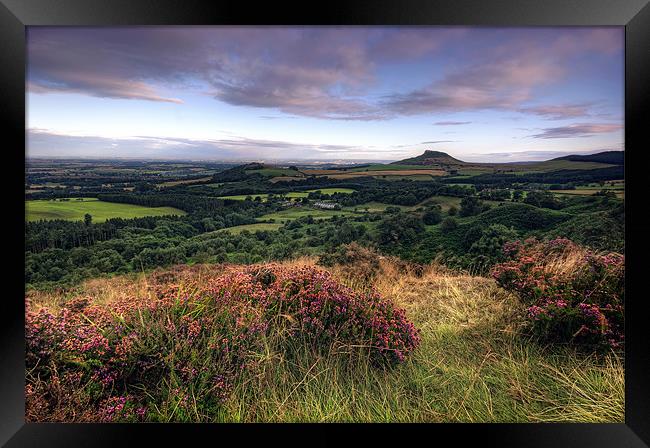 Roseberry Topping from Gribdale Framed Print by Neil Young
