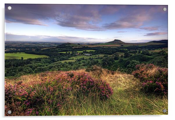 Roseberry Topping from Gribdale Acrylic by Neil Young
