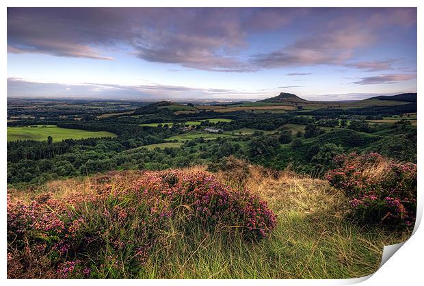 Roseberry Topping from Gribdale Print by Neil Young