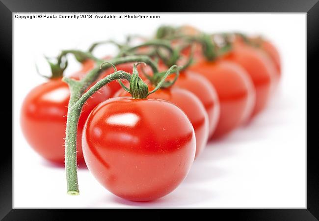 Tomatoes Framed Print by Paula Connelly