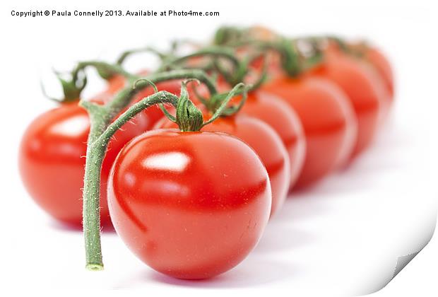 Tomatoes Print by Paula Connelly