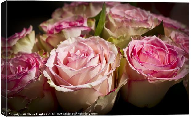 Rose Wedding Bouquet Canvas Print by Steve Hughes