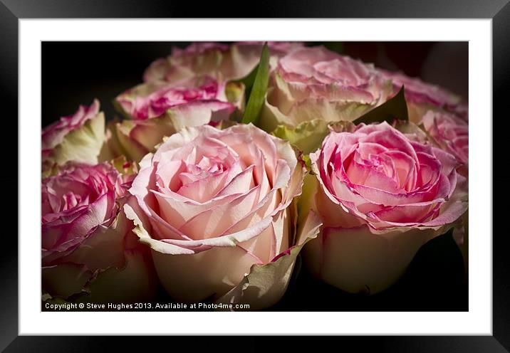 Rose Wedding Bouquet Framed Mounted Print by Steve Hughes