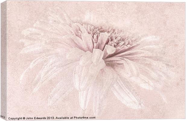 Pink Impression Canvas Print by John Edwards