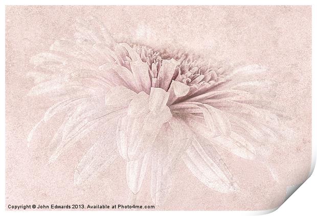 Pink Impression Print by John Edwards