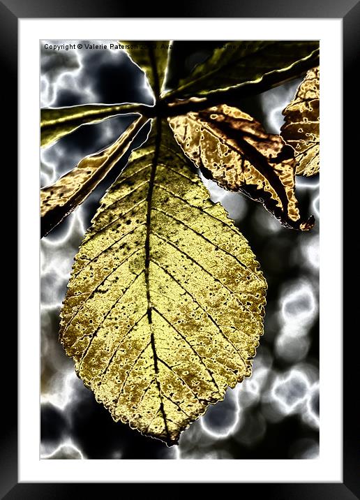 Black & Gold Framed Mounted Print by Valerie Paterson