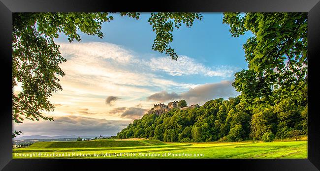 Stirling Castle from Kings Knot Framed Print by Tylie Duff Photo Art
