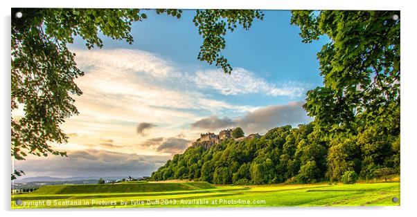 Stirling Castle from Kings Knot Acrylic by Tylie Duff Photo Art